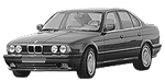 BMW E34 P2889 Fault Code